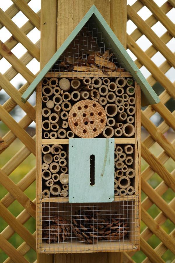 Hollicarrs Holiday Park - Hares Leap Riccall Exterior foto